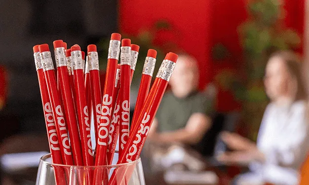 Team Rouge developing WordPress websites