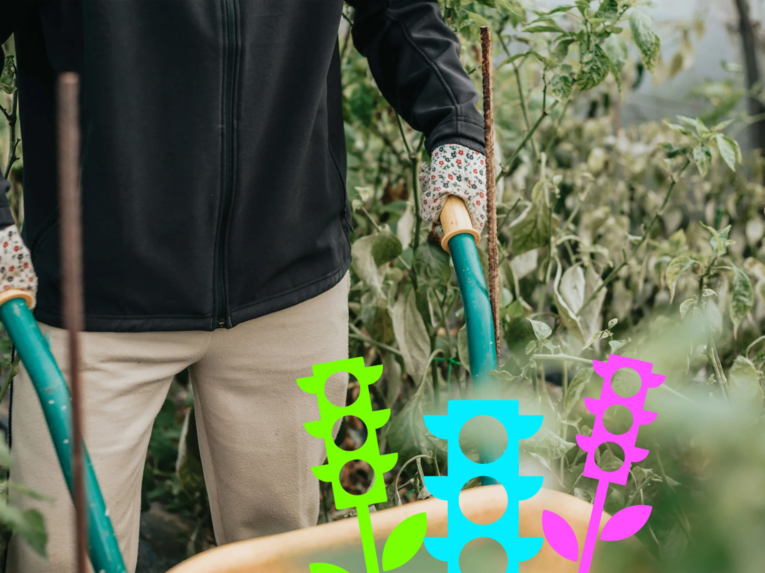 Man pushing wheel barrow